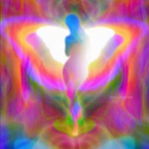 Meet your Posher, Kynnidi